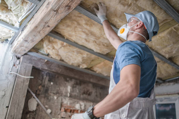 Best Commercial Insulation in Fayetteville, AL
