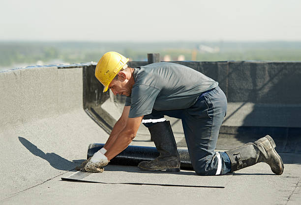 Best Specialty Insulation in Fayetteville, AL